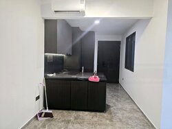 Hyll On Holland (D10), Condominium #472264461